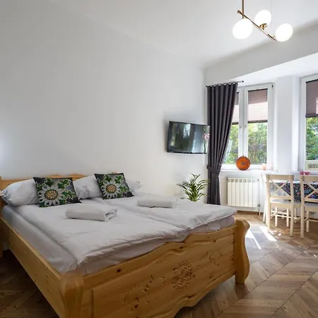 Witkiewicza Down Town Appartement Zakopane