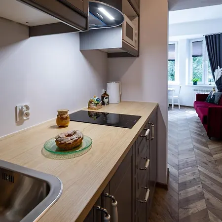 Appartement Witkiewicza Down Town *