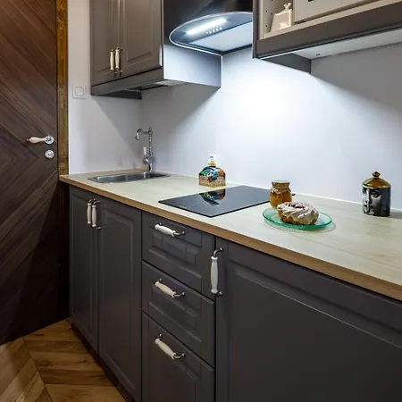 Appartement Witkiewicza Down Town Zakopane